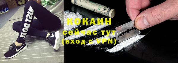 соль ск Алзамай